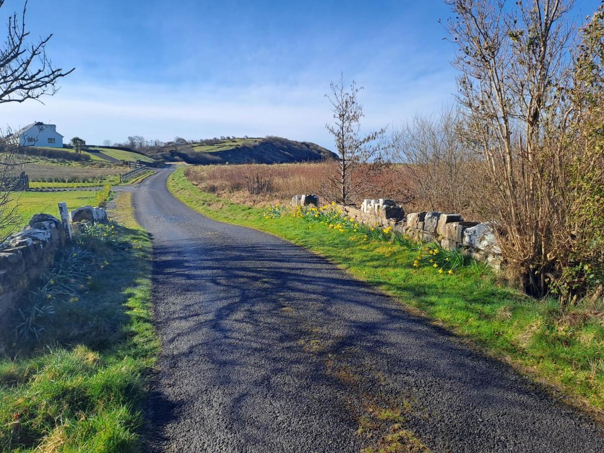 Blaneys Coastal Cottage Mountcharles Bagian luar foto